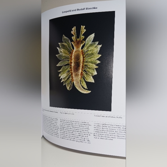 Animal, Exploring the Zoological World is a visually stunning and broad-ranging - Picture 3 of 6